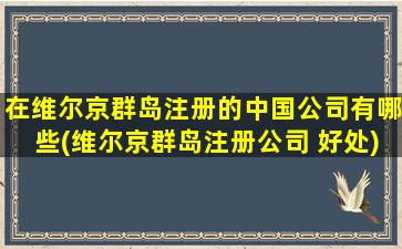 在维尔京群岛注册的中国公司有哪些(维尔京群岛注册公司 好处)